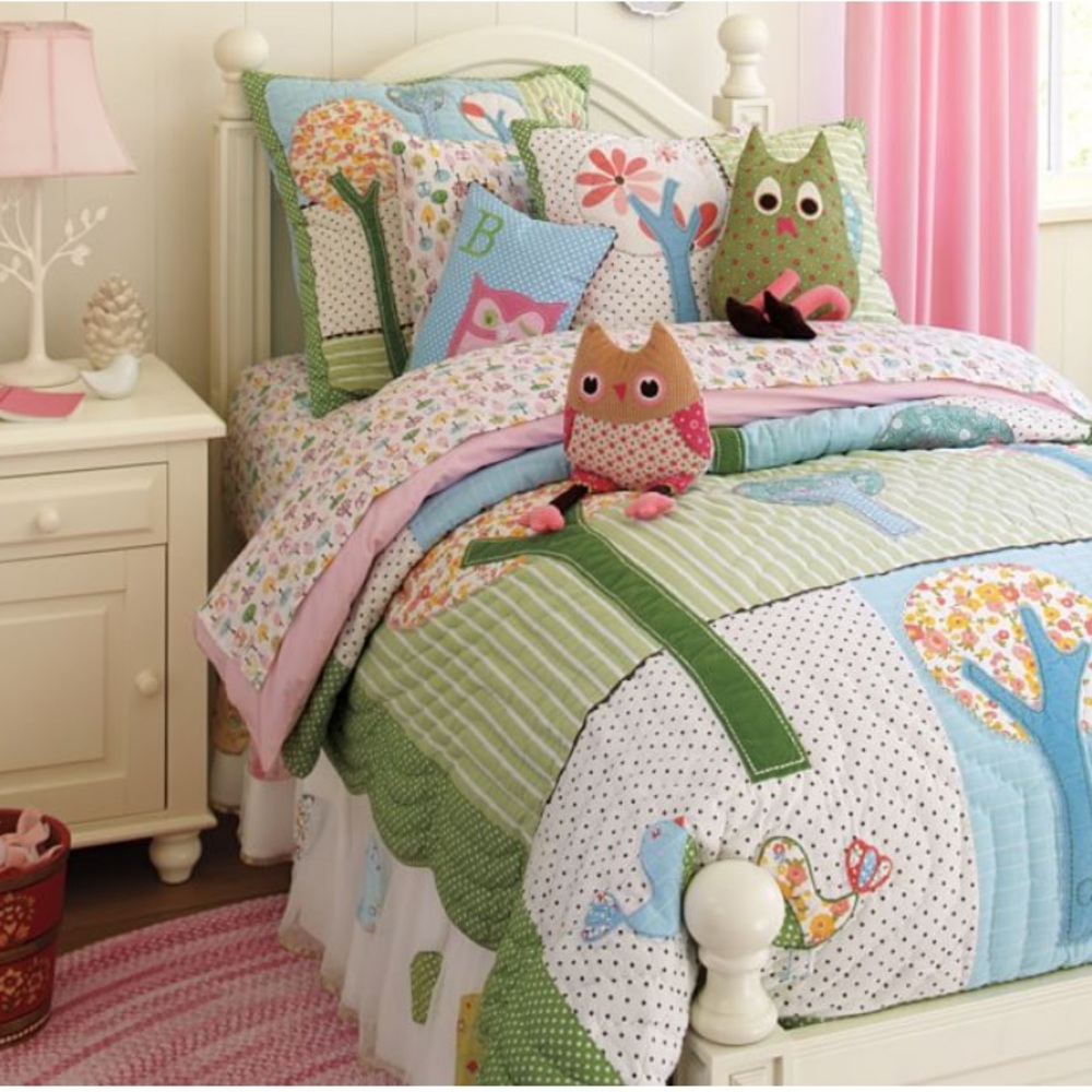 POTTERY BARN KIDS BROOKS SHAMS SET